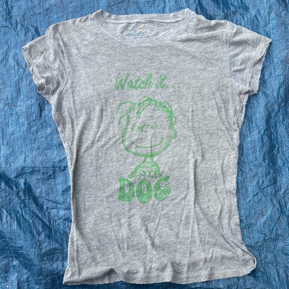 Peanuts Gray and Green Short Sleeve Tee